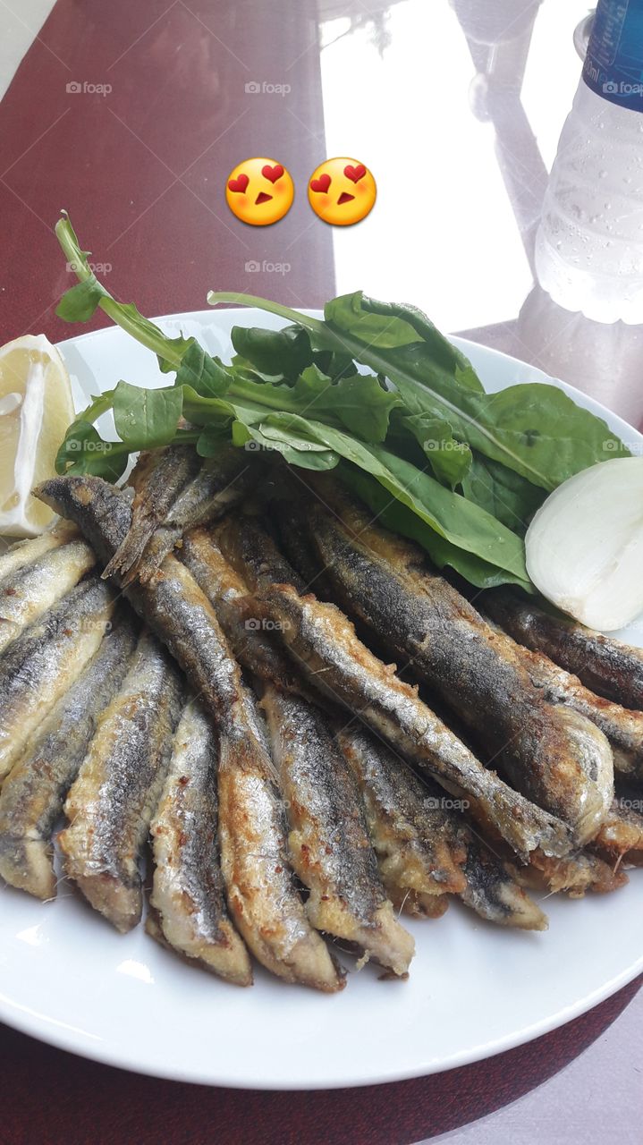 fish hamsi delicious food green fresh