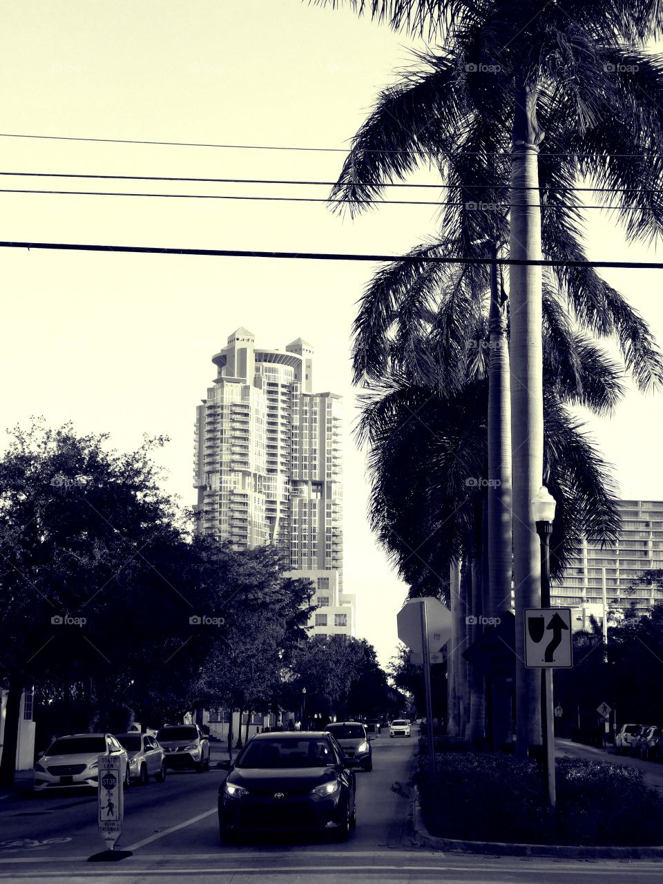 Cityscape of Miami beach