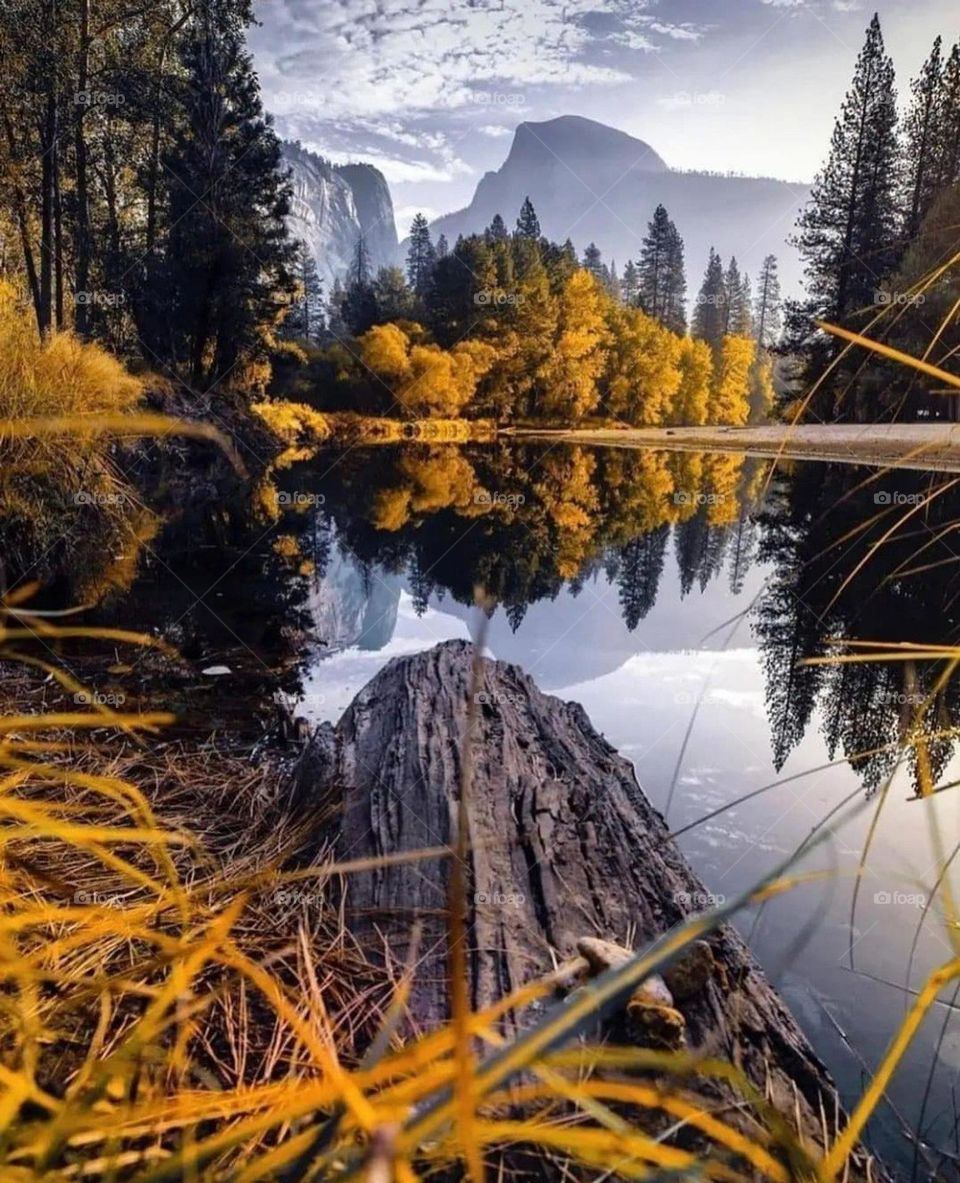 am in anywhere everywhere and any place showing my beauty (NATURE)