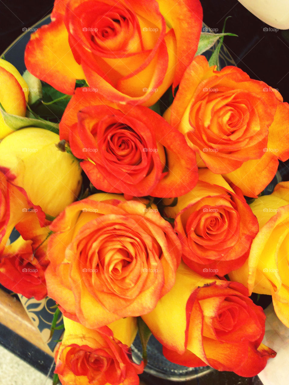 ORANGE ROSES