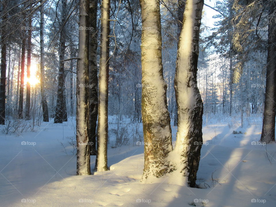 snow spring in the Urals in Russia