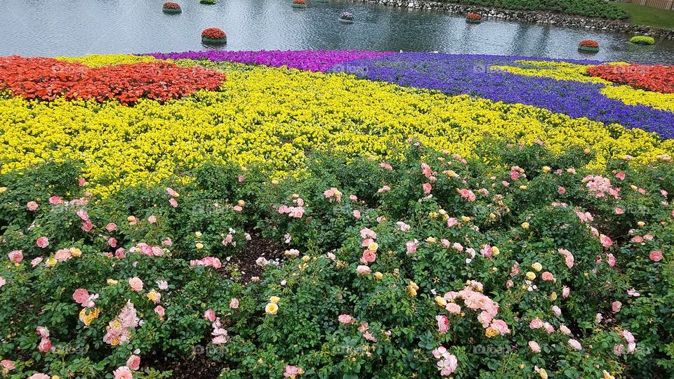 Disney's  Epcot 
International Flower & Garden Festival