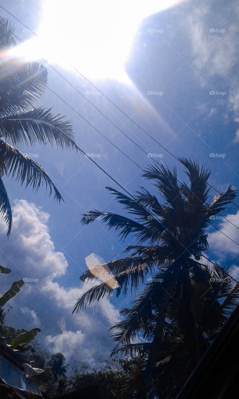 I want to taste and glory in each day, and never be afraid to experience pain.