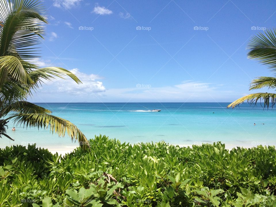 Paradise - Seychelles