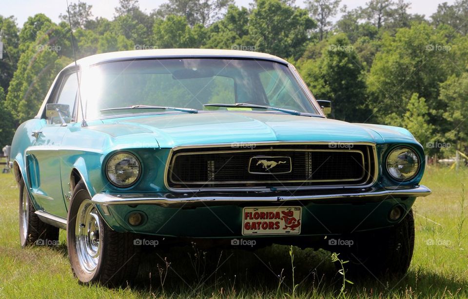 Ford mustang