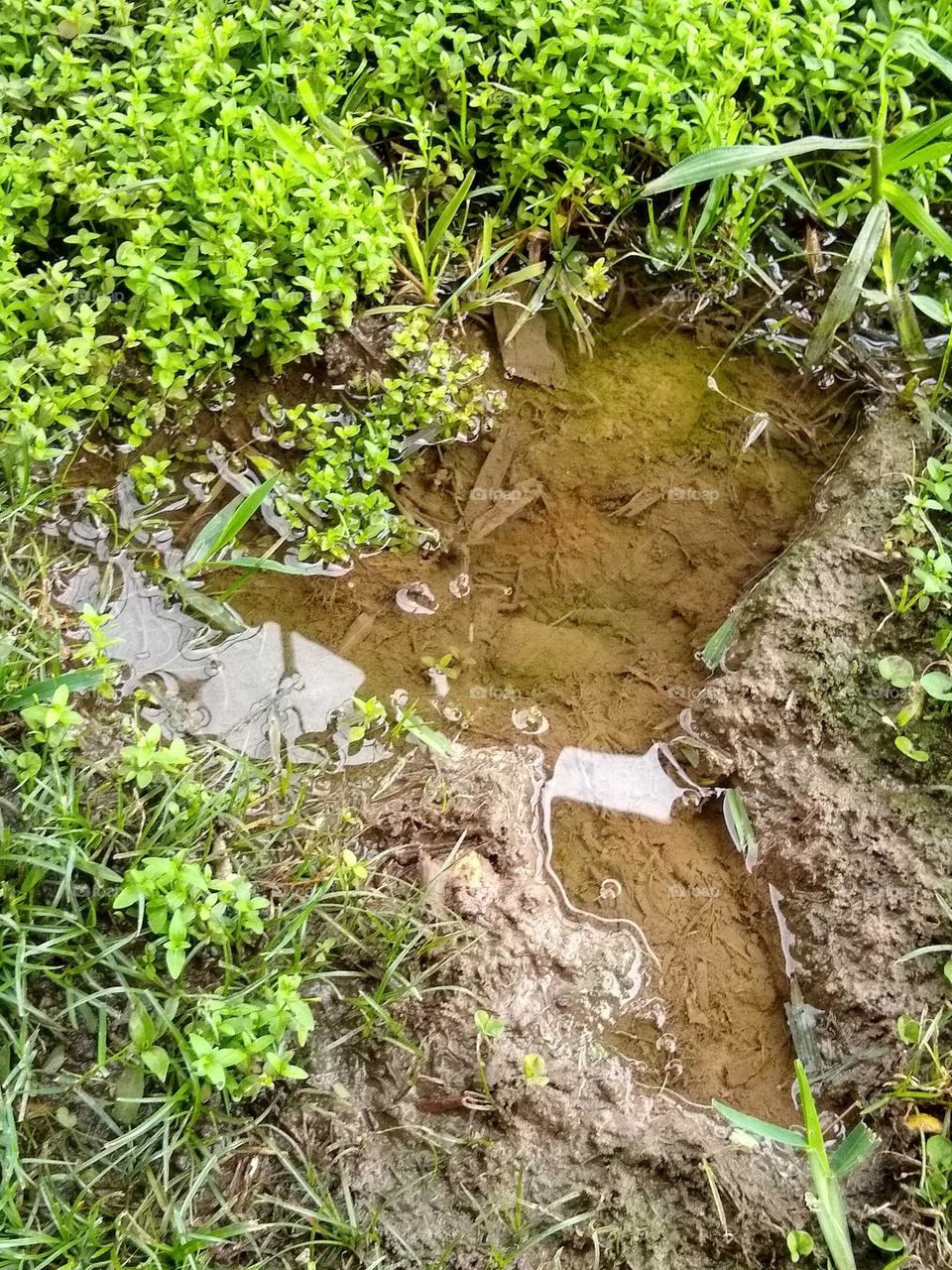 A small puddle of water 💦 alongside a sidewalk that I thought would make an interesting photo🤳🏾.