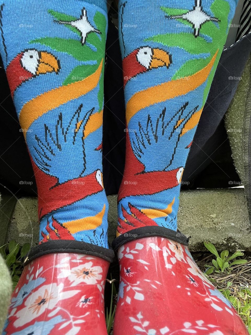 Multicolored fun socks.