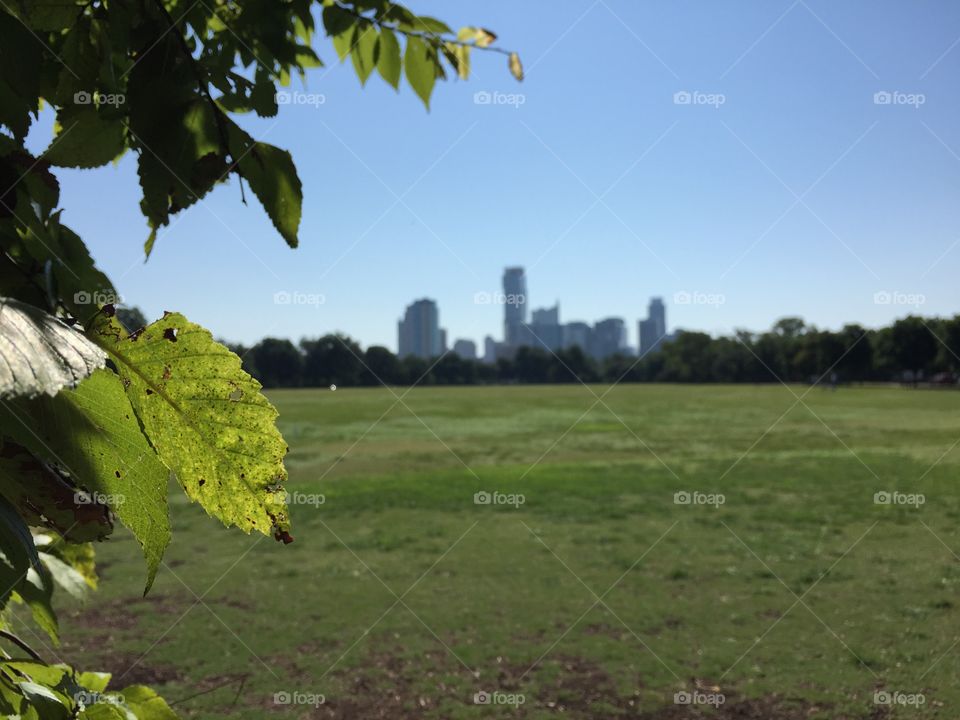 Looking at the Austin, Texas skyline from Zilker Park