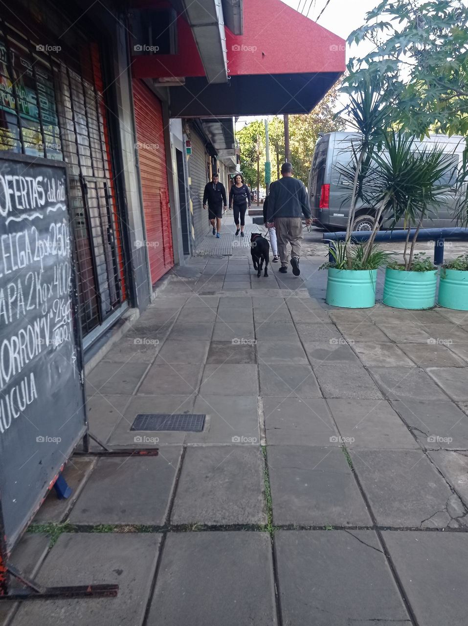 man walking dog on street sidewalk / hombre caminando con perro en una vereda