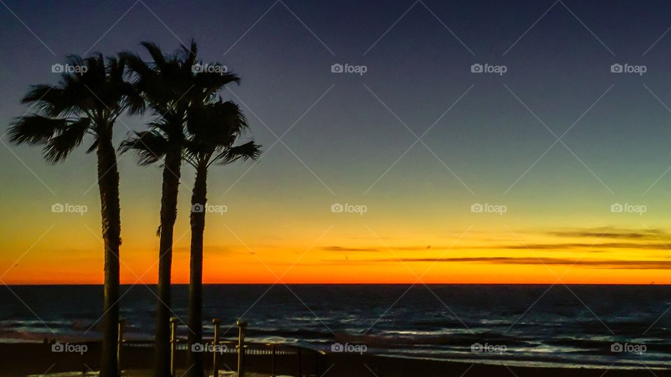 Dark Sunset Over California Beach Palm Trees