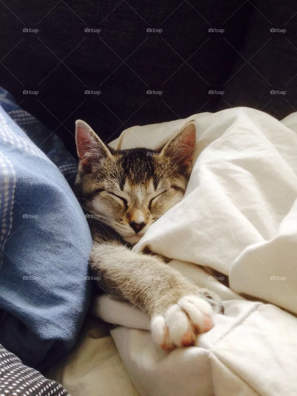 Sleepy