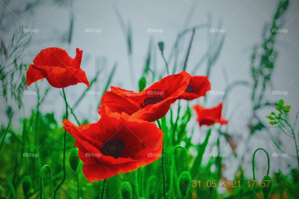 The beauty of nature