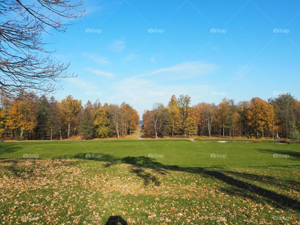 Fall. Sunny day. Park