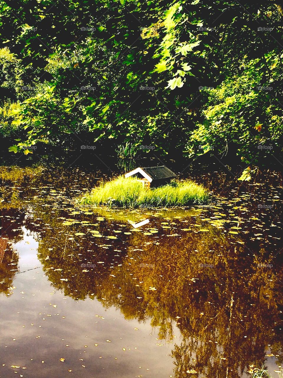 Small little cottage