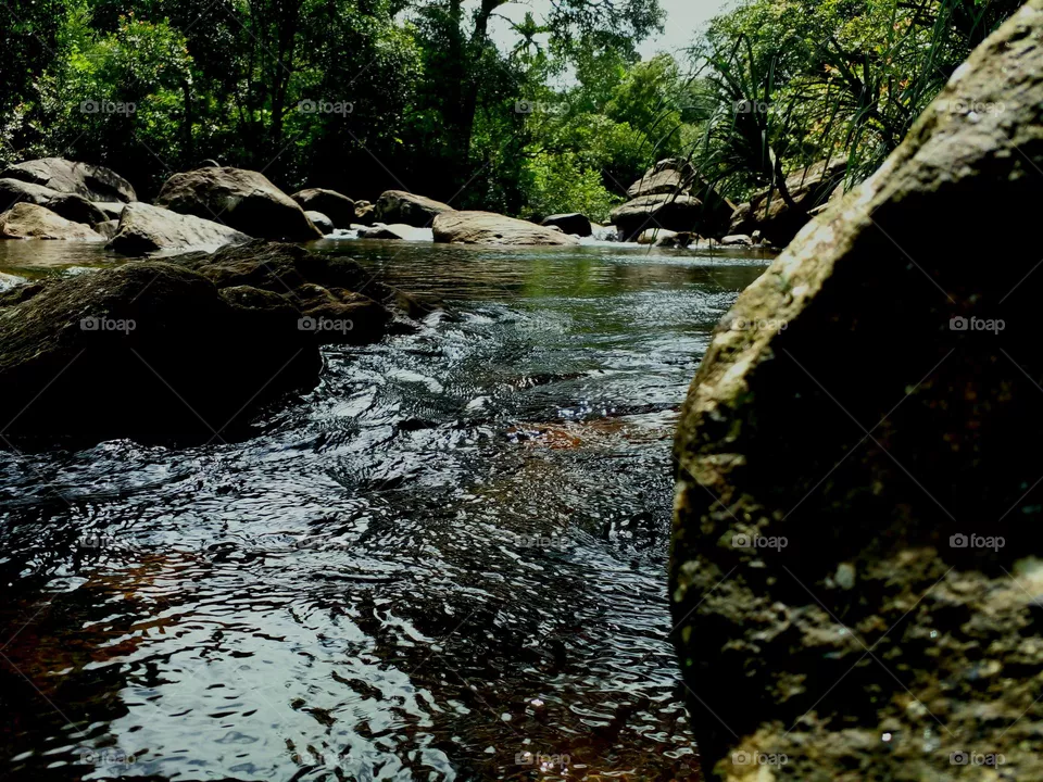 naturelove, river picture, beautiful picture, dark background