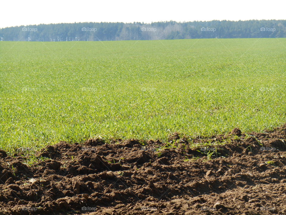 Agriculture, Soil, Growth, Landscape, No Person