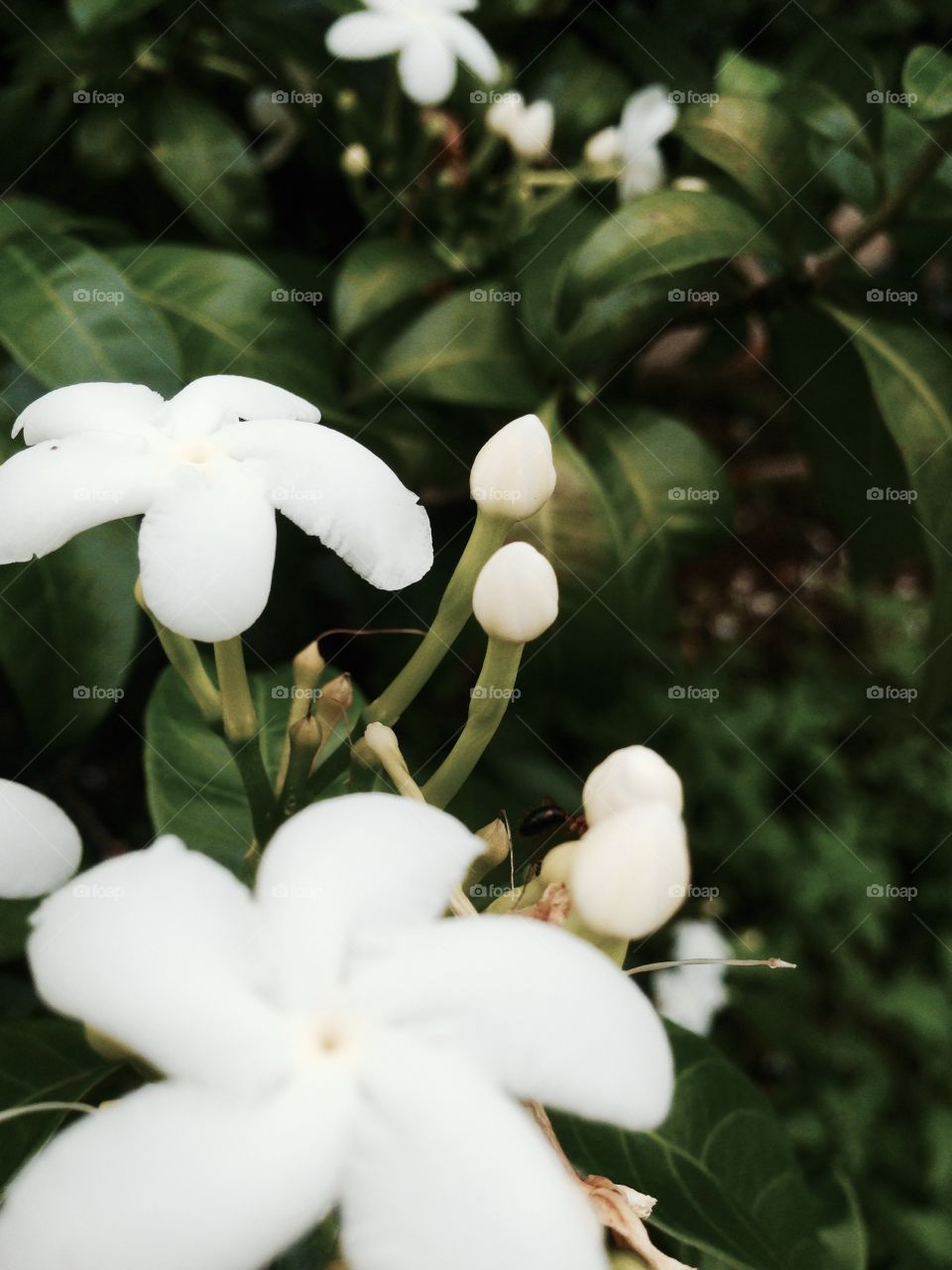 Changing the environment