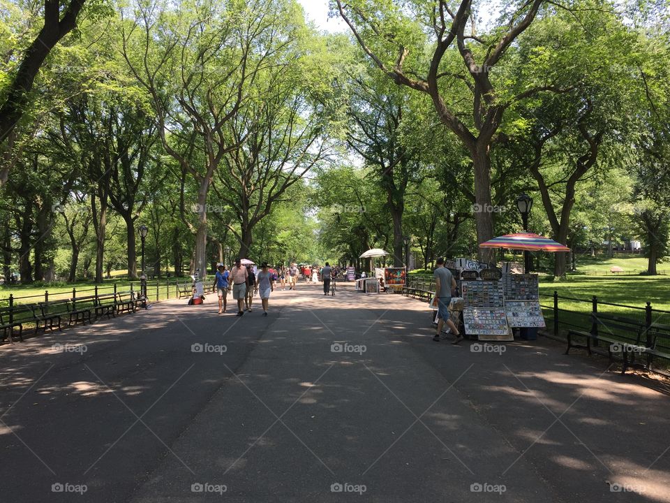 Summer in Central Park