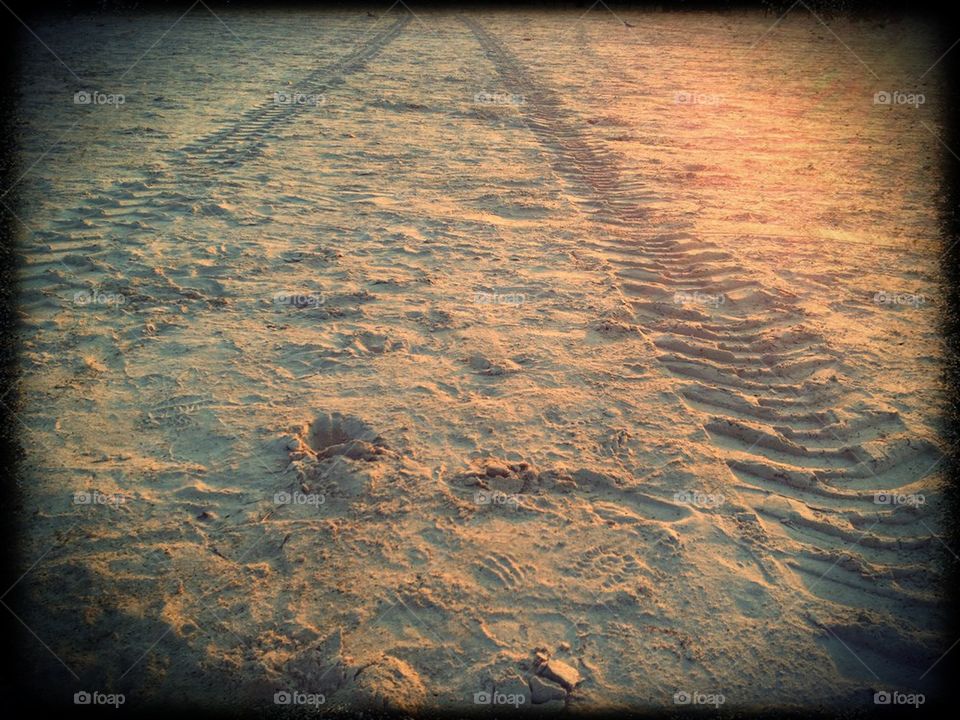Sand tracks 