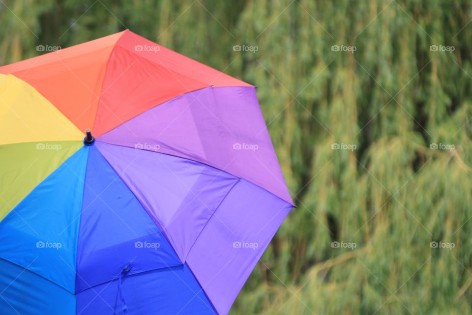 umbrella. an unbrella at the parade