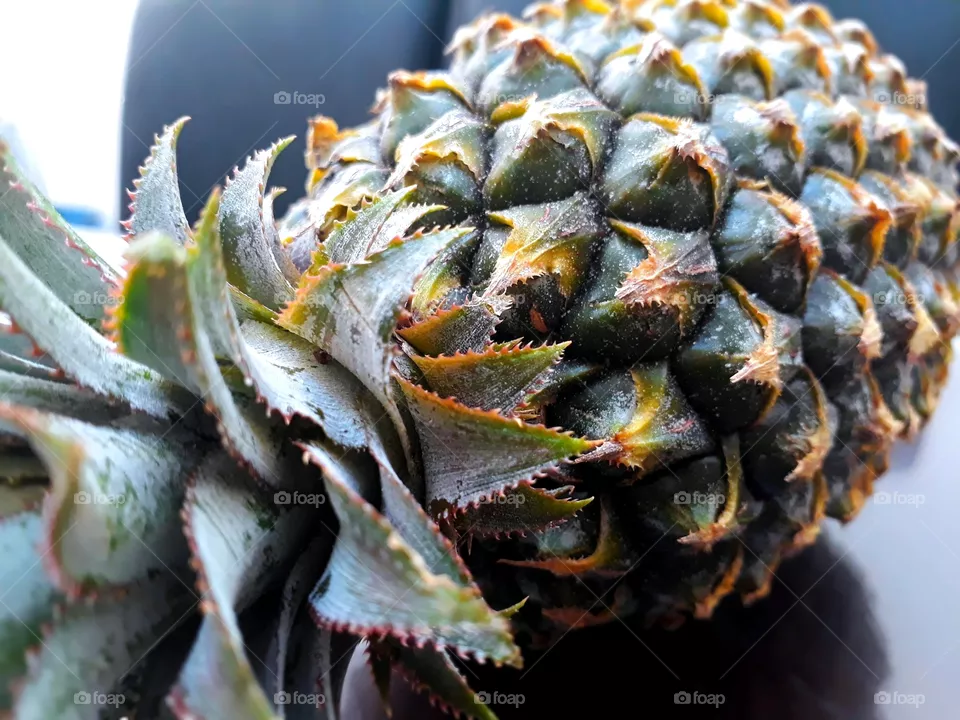 PINEAPPLE