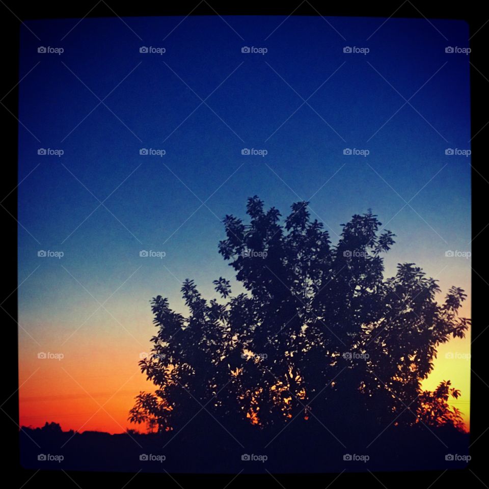 Sunset, Silhouette, Sun, Nature, Dawn
