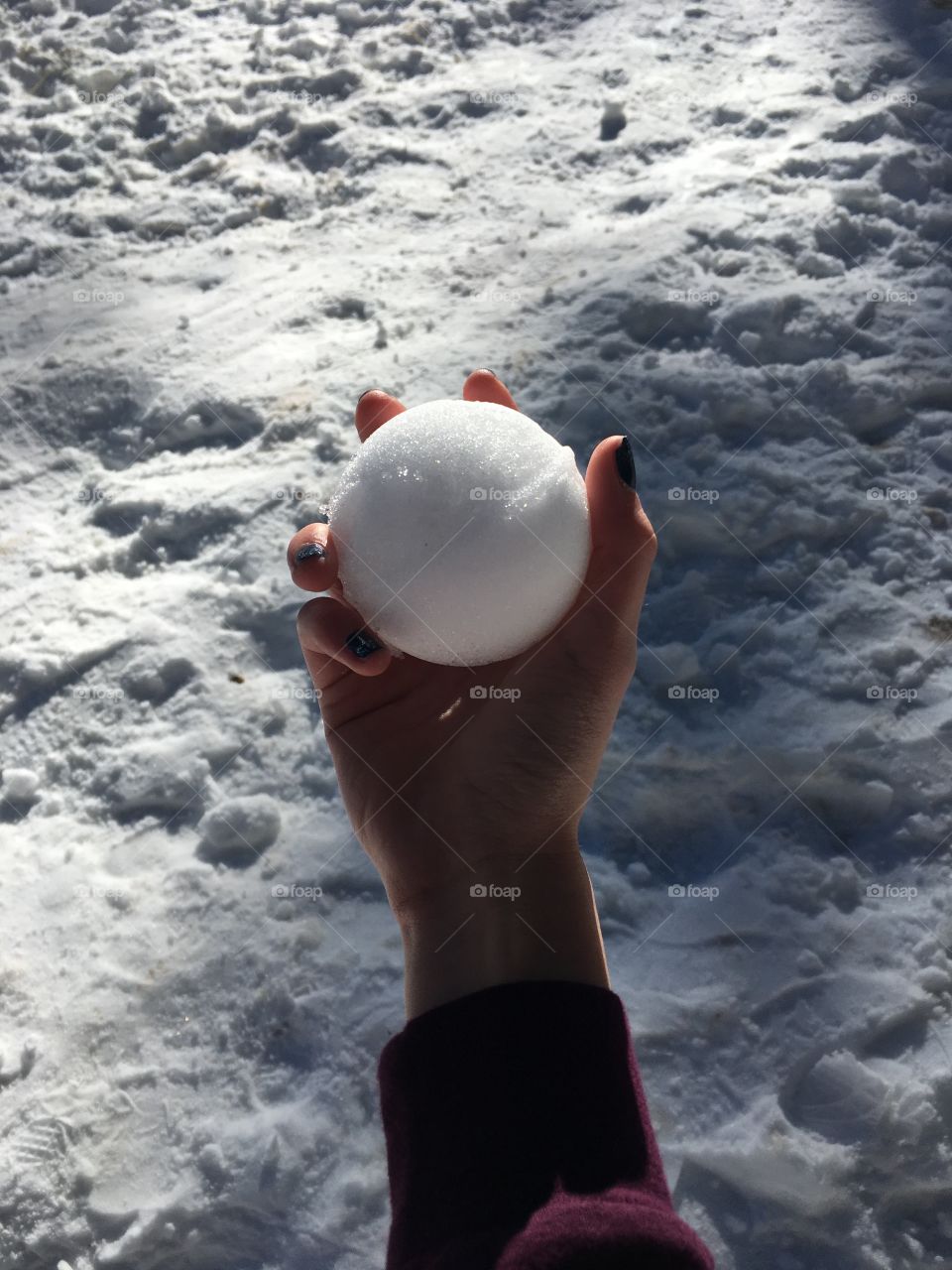 Lets have a snowball fight