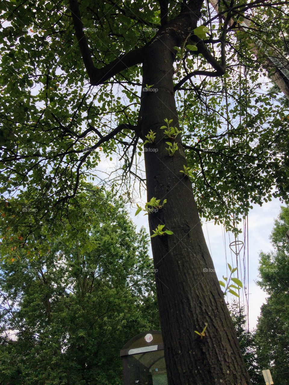 Noticed this on campus. Love all the green :)