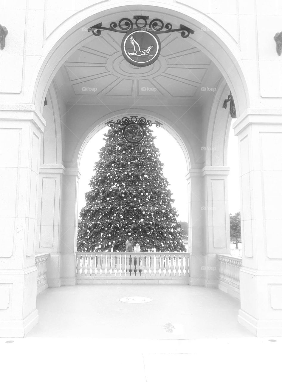 A black and white photo of a Christmas tree through a tower at Cranes Roost Park in Altamonte Springs, Florida.