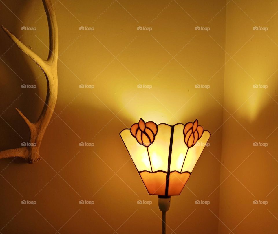 Art Deco lamp with single stag antler.