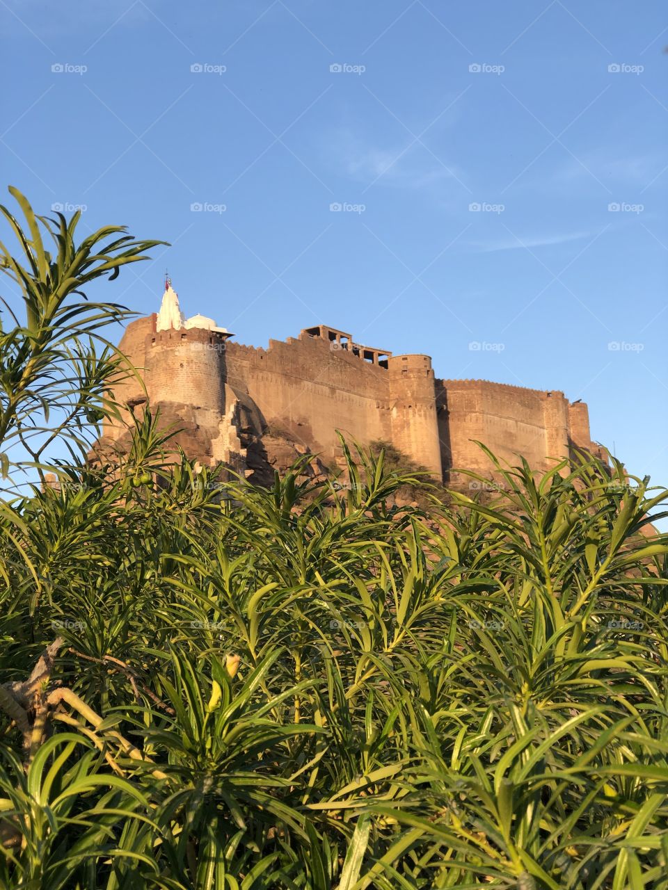 Natural beauty of Mehrangarh Fort