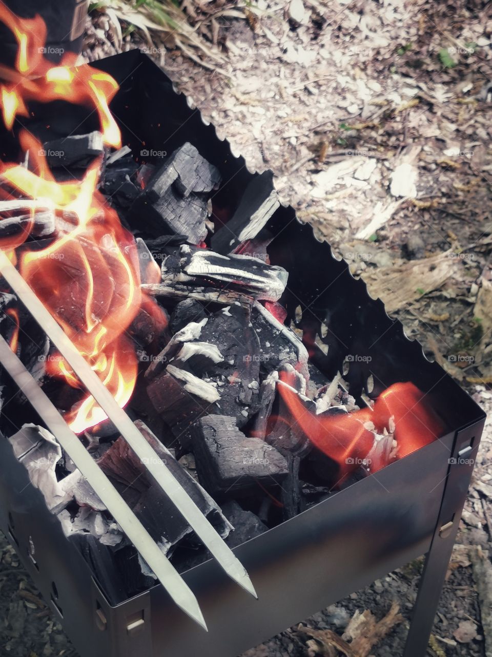 Green plant outdoor nature greens wild forest sky tree bush fire