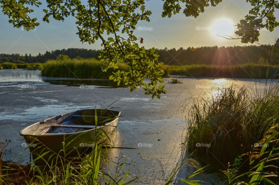 Summer evening