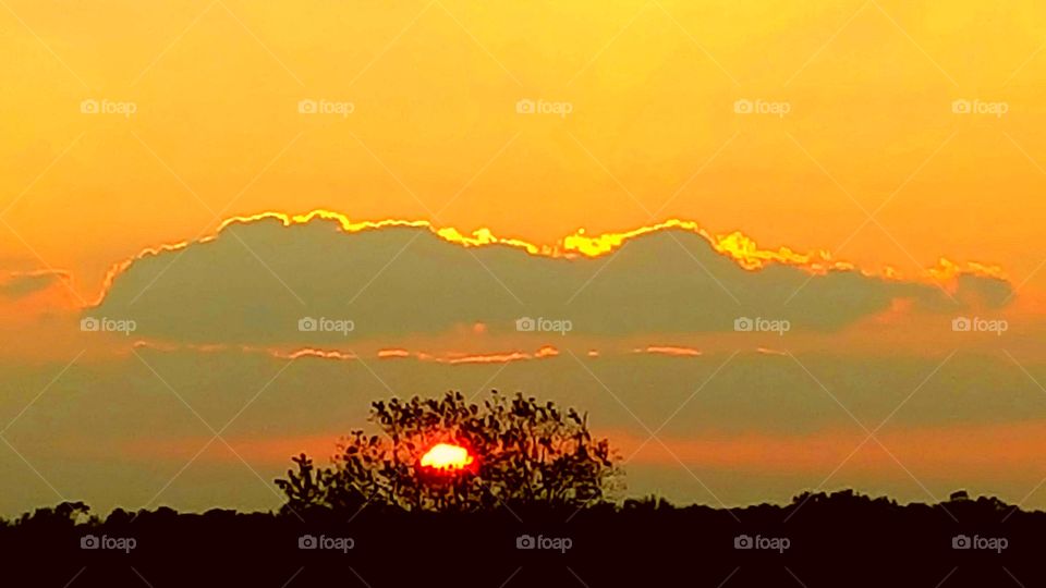 sunset in Southeast Texas USA 2017 in Orange Texas with Tree in foreground and clouds and orange sky in background