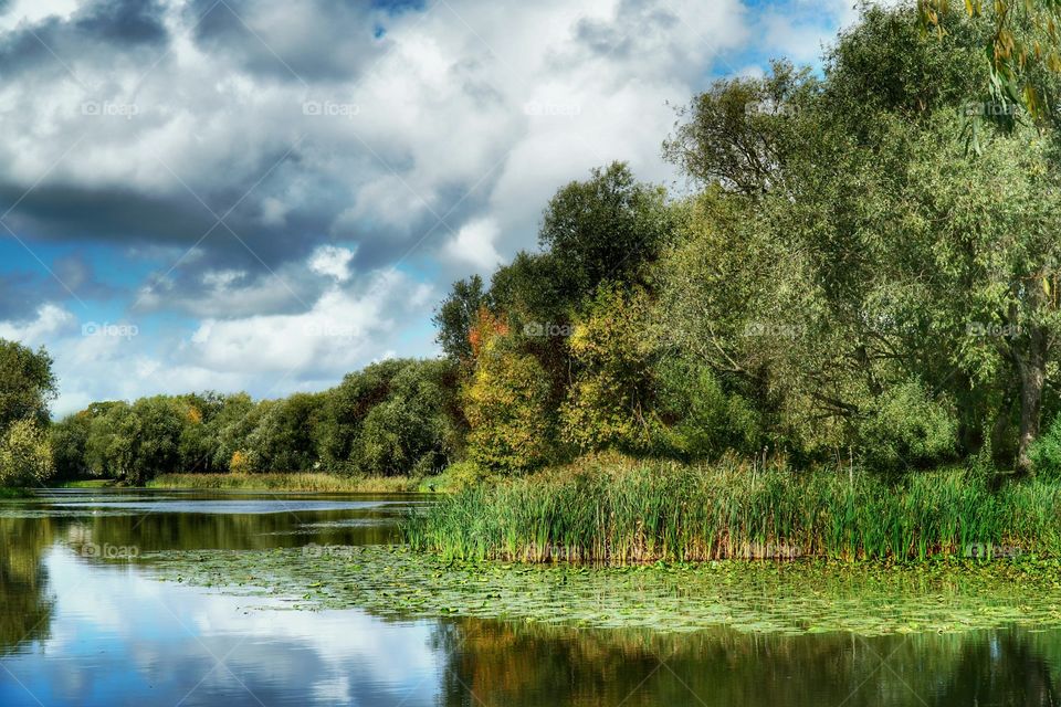 autumn lake