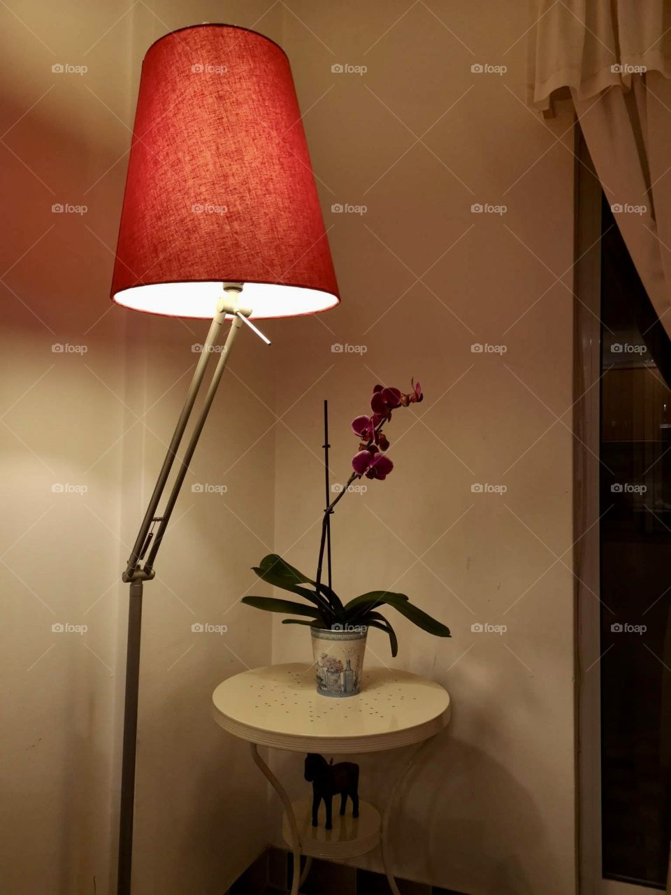 Lamp illuminating orchid in the best corner of the house