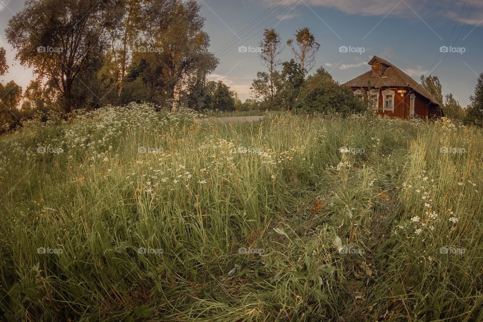 Evening landscape from fish-eye lens 