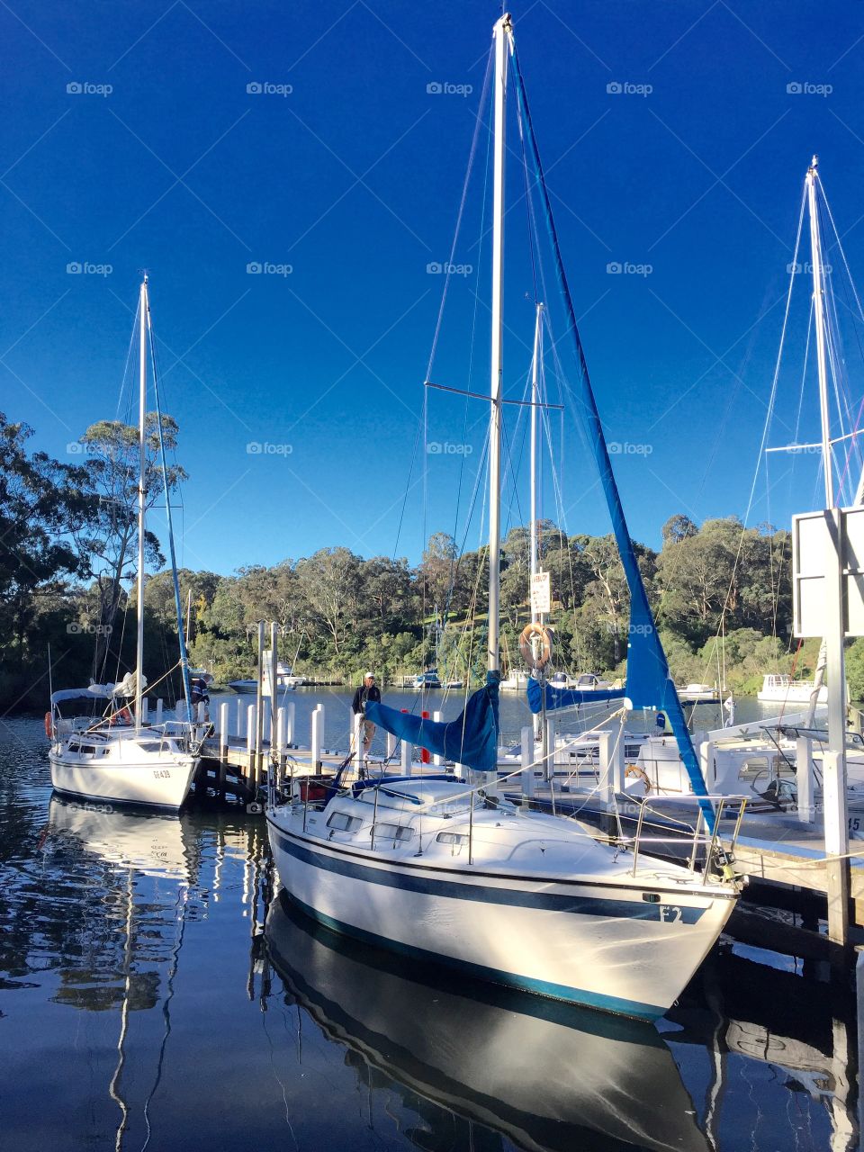 Yachts moored along the Jetty 