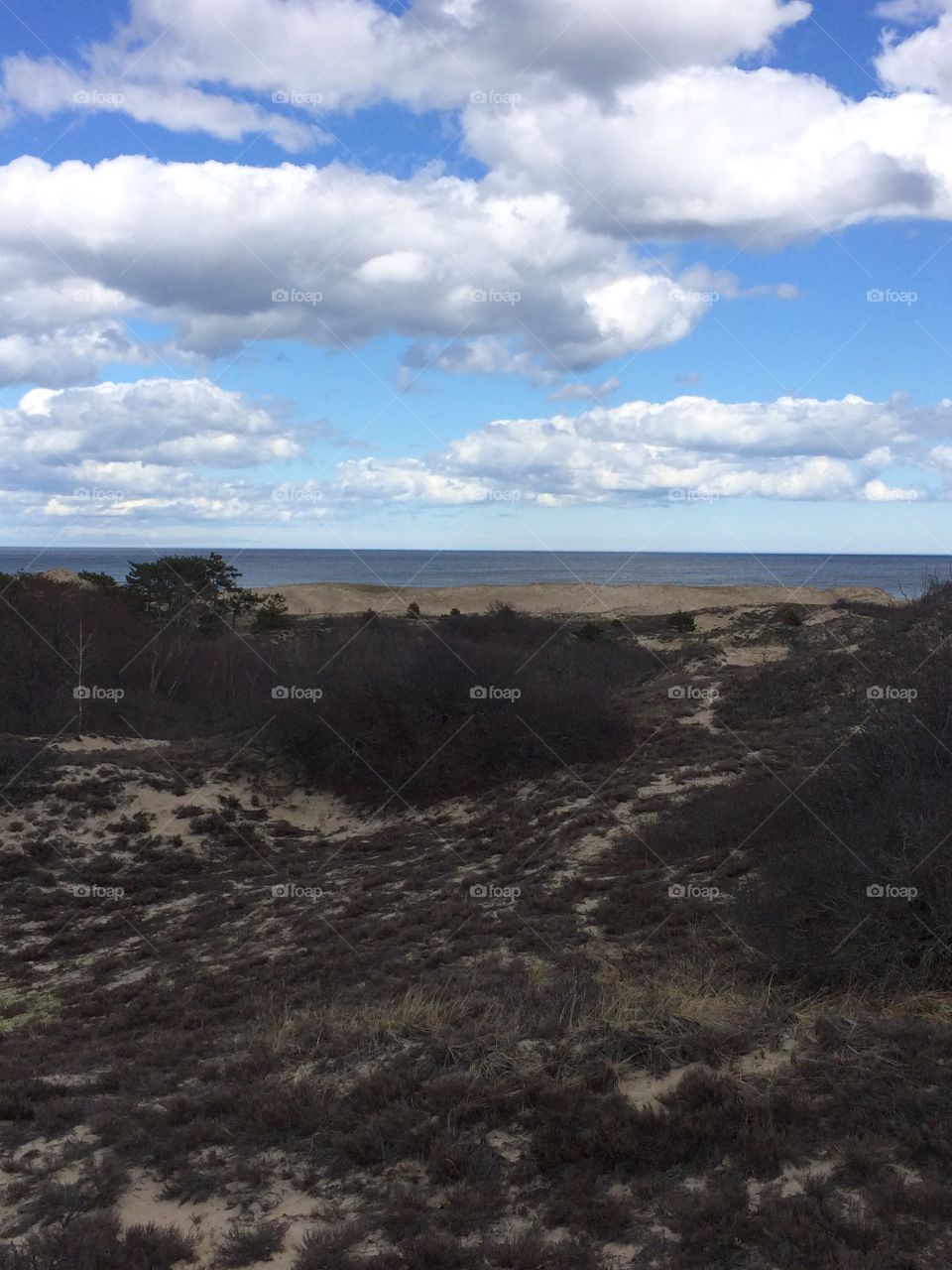  Dunes at plum island