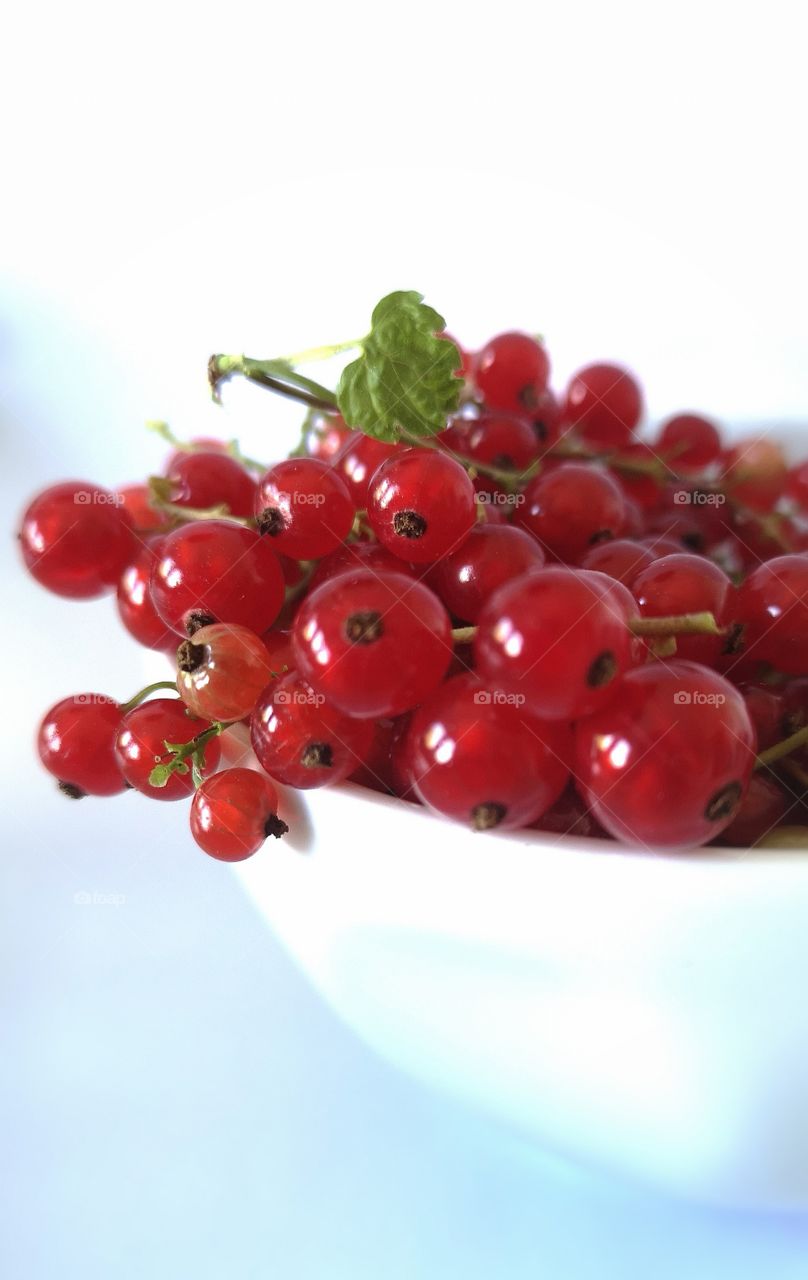 Bowl of redcurrant berries