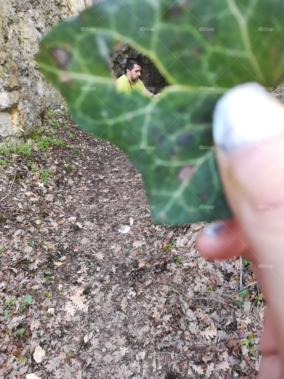 Leaf, Nature, Outdoors, Flora, Garden