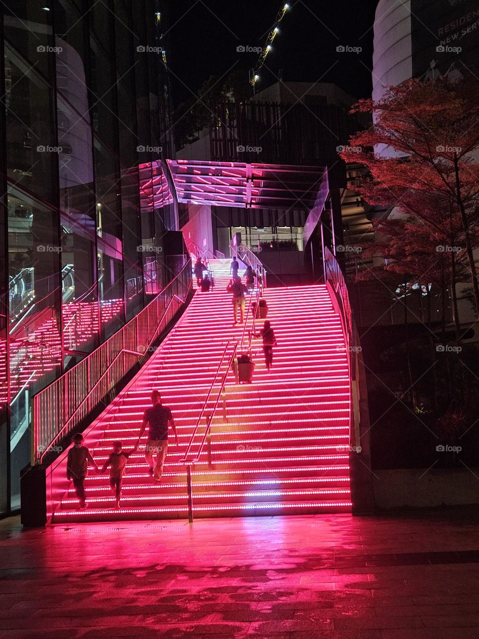 Illuminated staircase