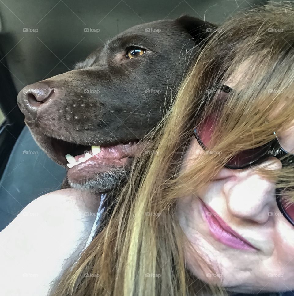 Pet dog photobombs my selfie