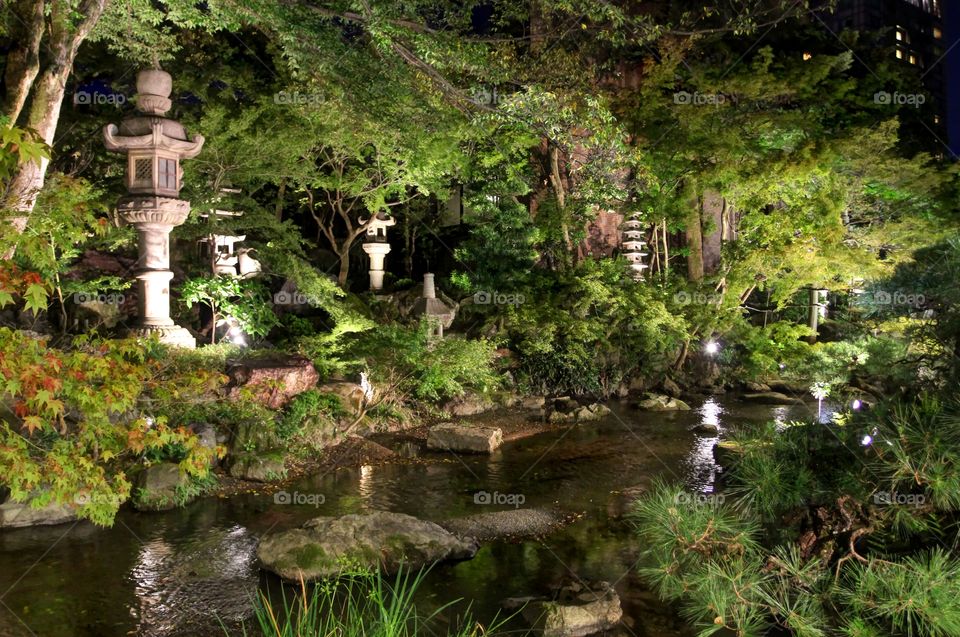Kyoto Japan Garden