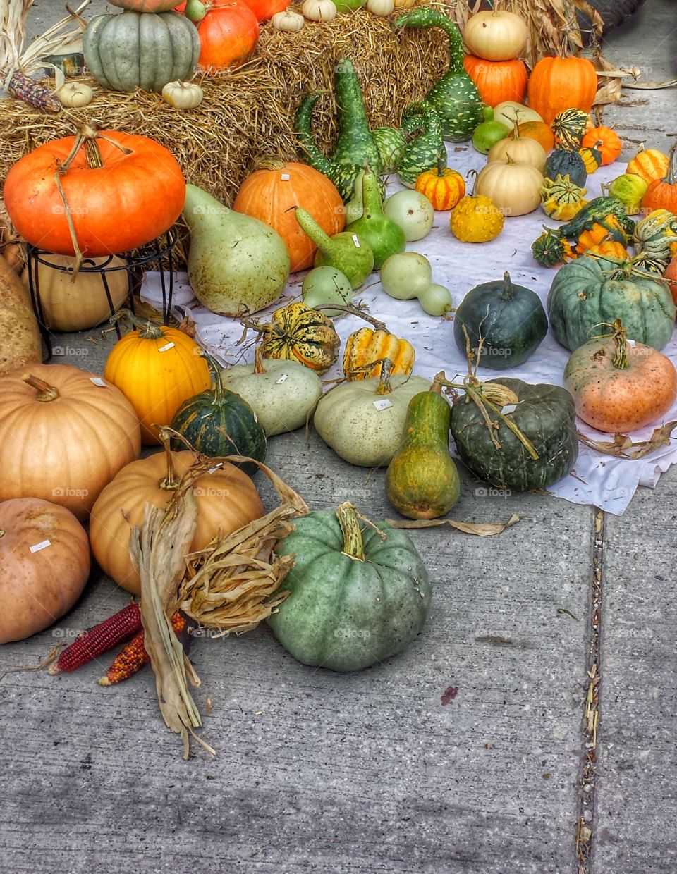 Pumpkin at market for sale