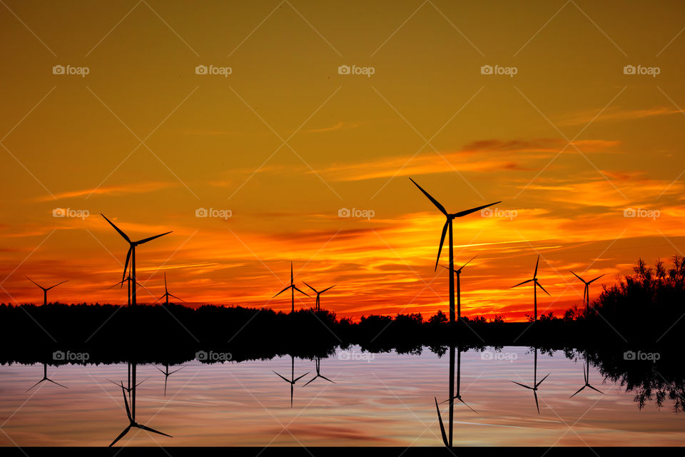 Windmills 