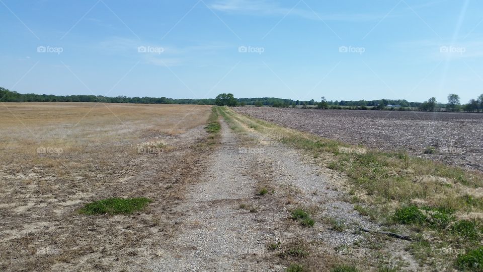 barren field  with a path