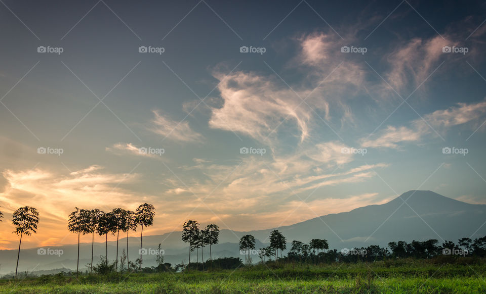 perfect sunset in summer