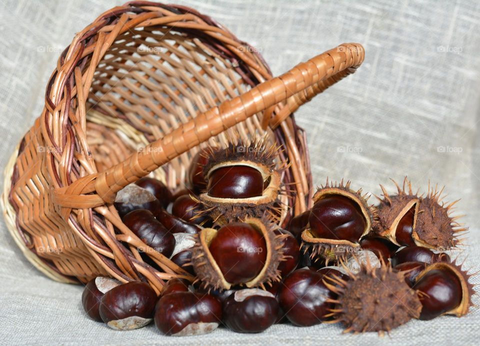 chestnuts and basket 🧺