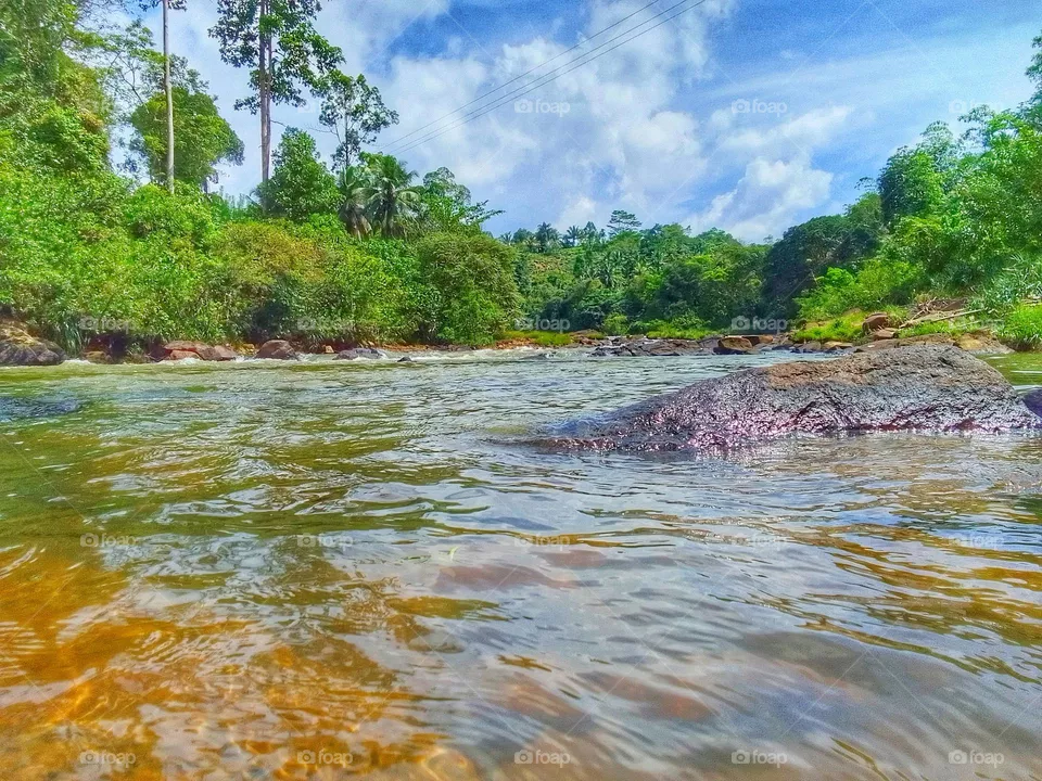 Beautiful nature